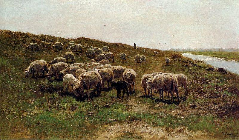 Mauve, Anton Sheep on a dyke oil painting picture